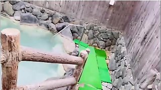 Tochigi Nikko Monkey And Hot Springs