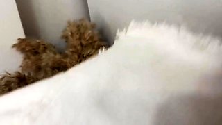 Teen blonde fucked hard after sniffing panties