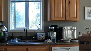 Nude Day in My Life Vlog Cooking, Chores, Workout & More