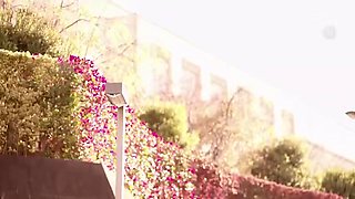 353-season-ending-who-jur