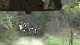 Mature Brunette Devours Cock in Wild Outdoor Group Bang