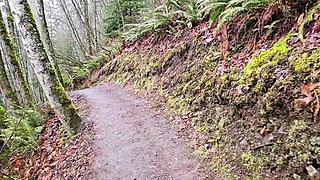 Hike-n-piss on a Rainy Day