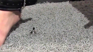 Isabella Chubby MILF Punishment Session