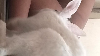 Husband wife full deshi sexy video in hindi