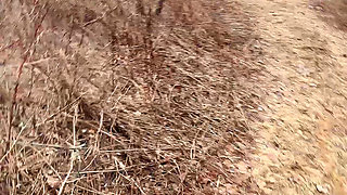 pee sexy on the forest so cool