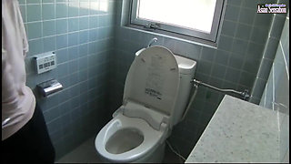 Stuck up Older Women - Toilet Masturbation Collection of 25 - Ep02