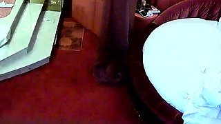 Hot amateur hidden cam