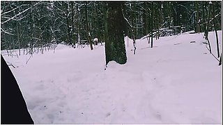 Jeny Smith, Red Fox And Naughty Lada - The Winter Forest