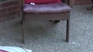 Tan horny milf big boobs fucks and swallows