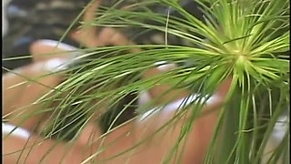 Asian Girl Eats Dick Then Gets Fucked in the Vagina