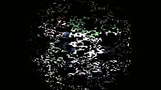 foot sniffing at picknick