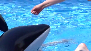 Lesbian Girls Are Having Fun in a Pool with an Inflatable Shark