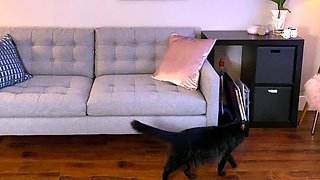 Amateur babysitter fetish amp domination HD