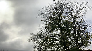 Walking naked in the nature