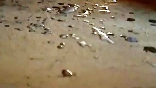 Rushes Rough Fucking