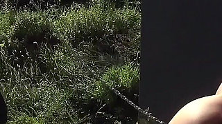 Let's Go for a Walk - Part1