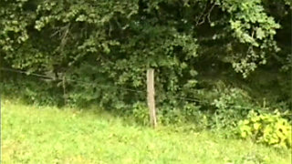 Compilation of a Good Bitch Who Loves Sex and Dick