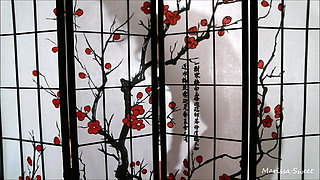 Silhouette Tease / Ball Domination