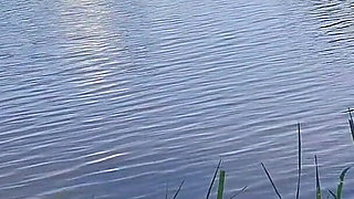 Paradise Fucking with the Best View in the World with the Man I Love Most for Life.