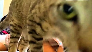 Universidade a transar de forma intensa no campus -