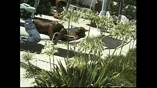 Sex Under the Blue Sky