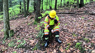 Amateur Blonde German Outdoors