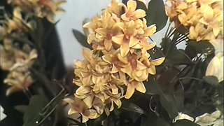 Several Duos Fucking Well Horny