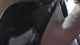 Gloomy's Home Video - Alex Latex