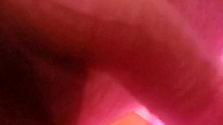 Big cocks