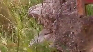 Redhead chick fucked hard in the ass