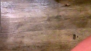 Hot amateur busty brunette masturbate in webcam