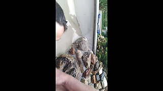 Candi Annie Sucks Cock and Swallows Cum in Fountain