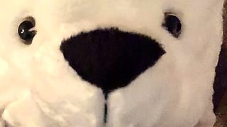 Amateur Blowjob Cumshot Compilation