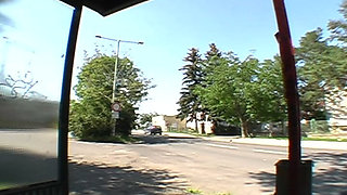 Bus Stop Encounter