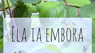 Brunette Solo Webcam Masturbation