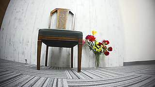 Legs and Feet, Toes and Soles