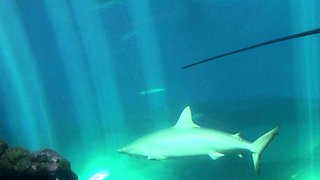 Hitch hiking teen outdoor public fuck in this hd video