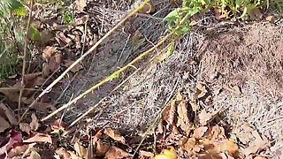 Perfect Body Tiny Petite Hana