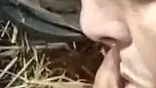 Adoring Feet and Sucking Cock by Dom Gresopio 2