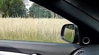 Titty Tuesday Blindfold Truck Stop Fun