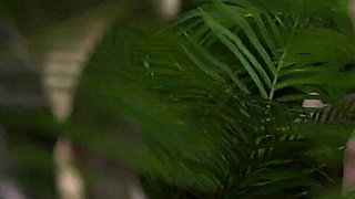 LISA #27 - Lisa's come up - Porn games, 3d Hentai, Adult games, 60 Fps