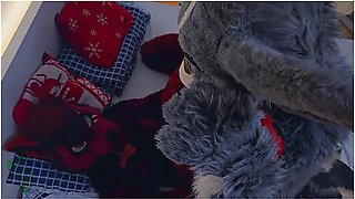 Furry Bunny Fucks A Tiny Hot Female Wolf (murrsuit Porn)