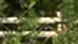 The Genesis Order V63022 Part 177 Revelations by Loveskysan69