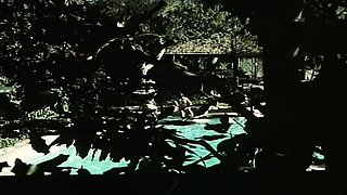 Anal dilettante group sex cum party
