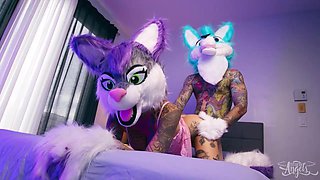 Fur covered Wish / TransAngels