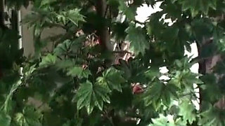 Stepson catches Stepmom naked outside