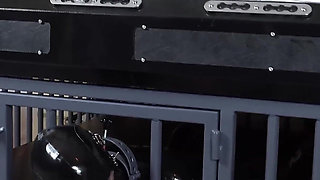 Supervised Blowjob and Facesitting From the Rubber Couple