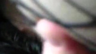Trailer 461