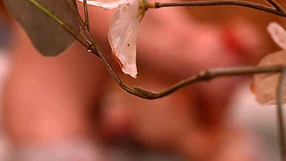 Hot Neighbors in Hot Tub