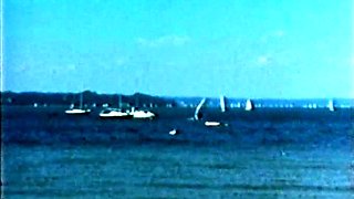 Am Sonntag- Wenn Die Segler Vogeln Gehen .. -Professional